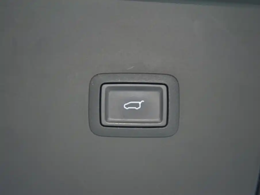 Hongqi HQ9 2023 2.0T Smart Connect Flag Enjoy Edition фото 19