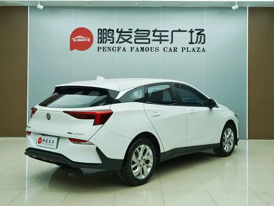 BUICK SLIGHTLY BLUE 6