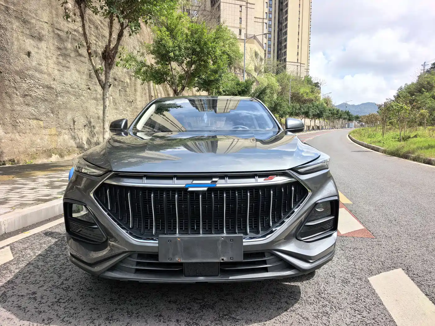 CHANGAN CHANGAN AUCHAN X5