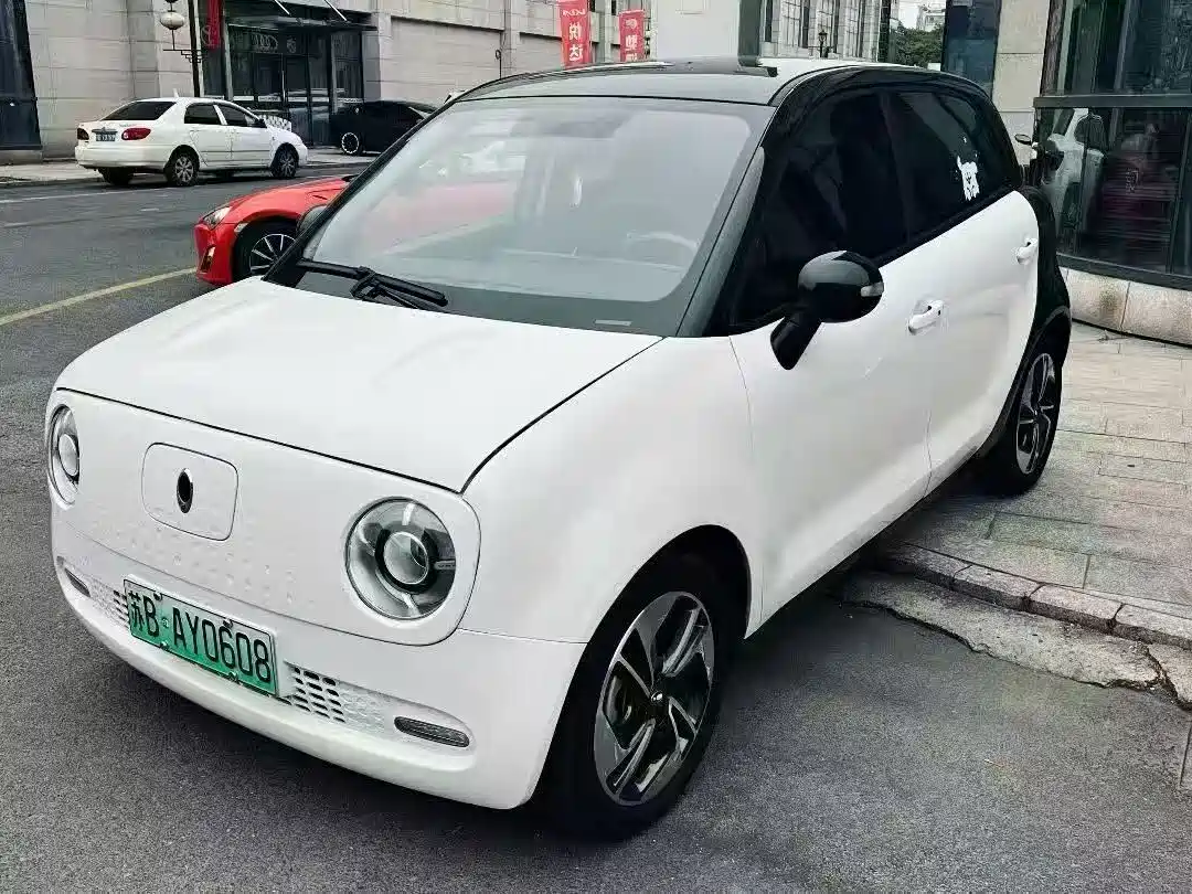 Ora Black Cat 2022 2022 301km Cute Pet Edition (LFP)