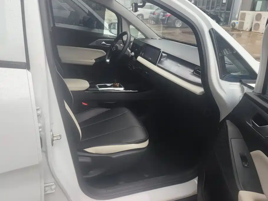Geely Geometry E Firefly 2023 2024 Model 301km Starlight