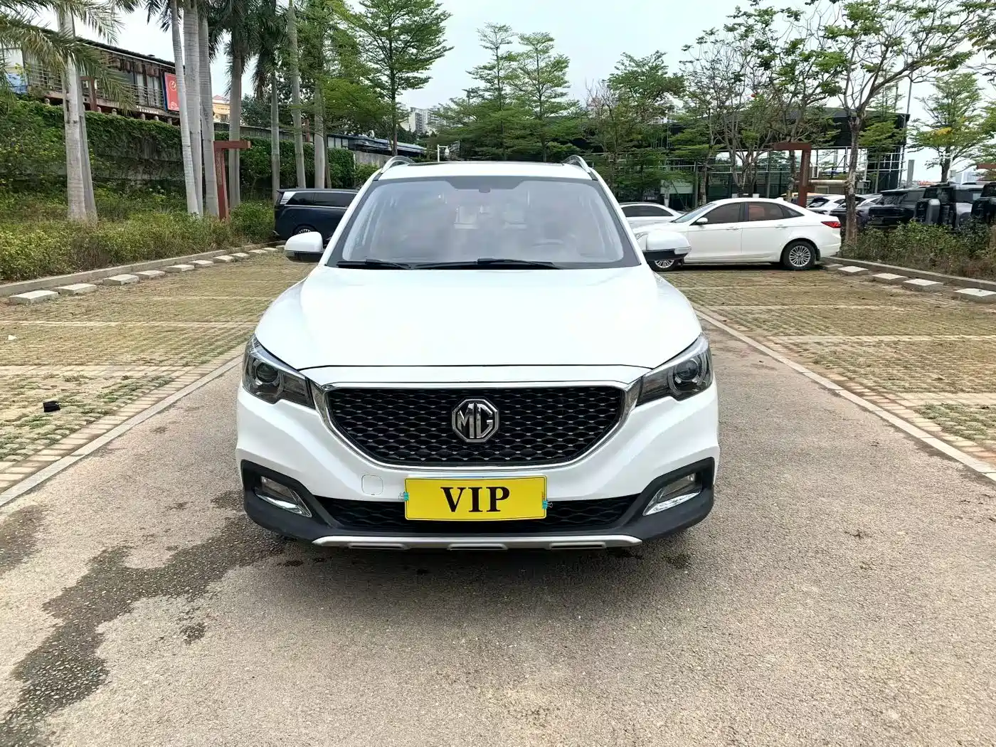 MG ZS 2019 2018 1.5L Automatic Luxury China V