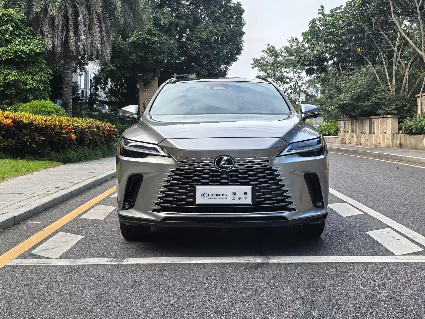 LEXUS RX