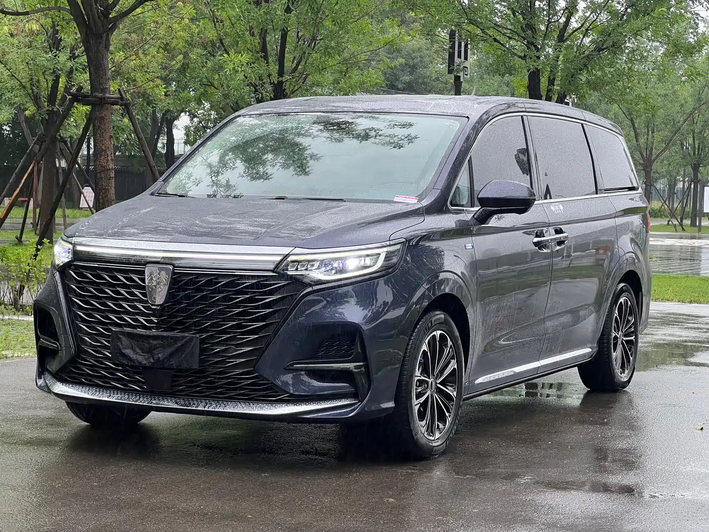 Roewe iMAX8 2021 400TGI Supreme Series Honor