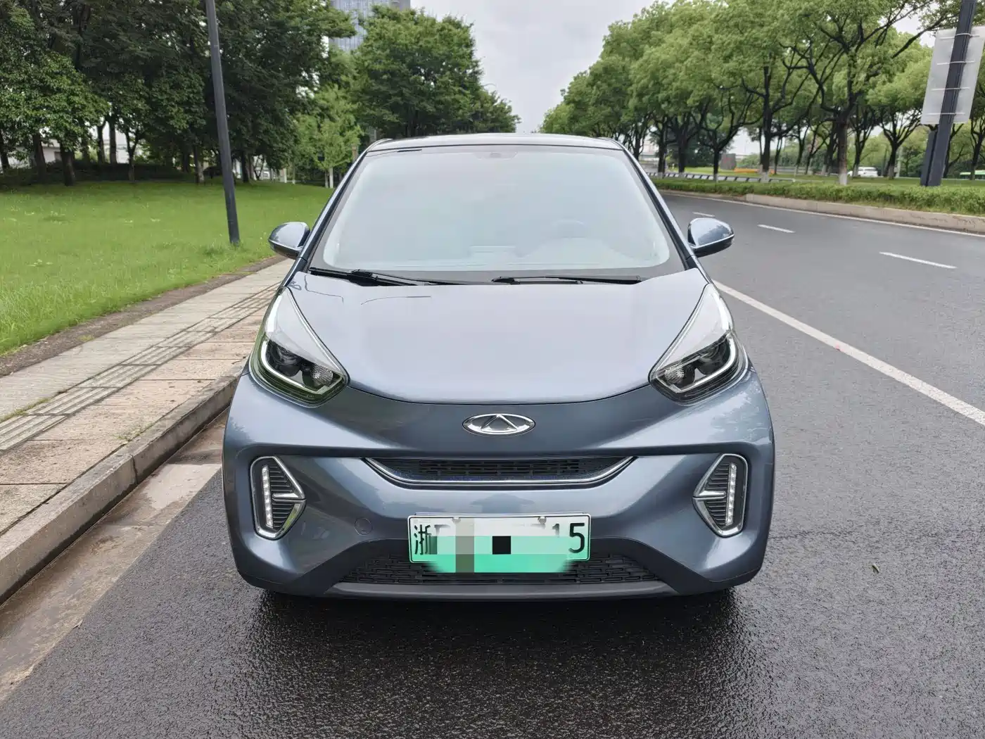 QQ New Energy Little Ant 2024 2024 251km True Love Edition