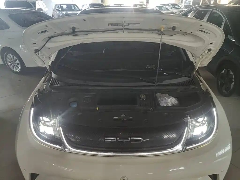 Фото 20 - BYD Dolphin
