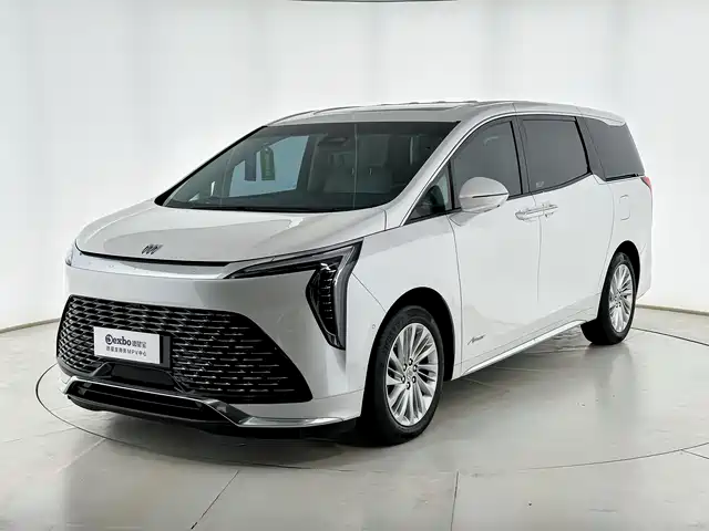 Buick Century 2023 2.0T 7-Seater World Edition