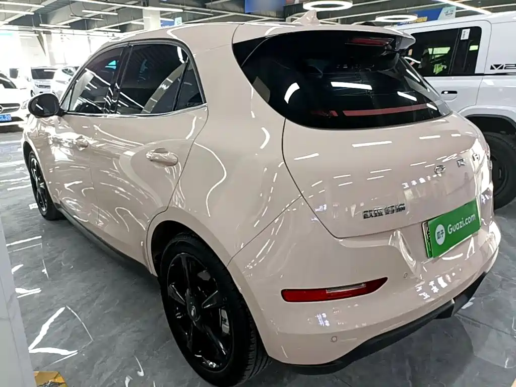 Ora Good Cat 2025 2024 401km Luxury