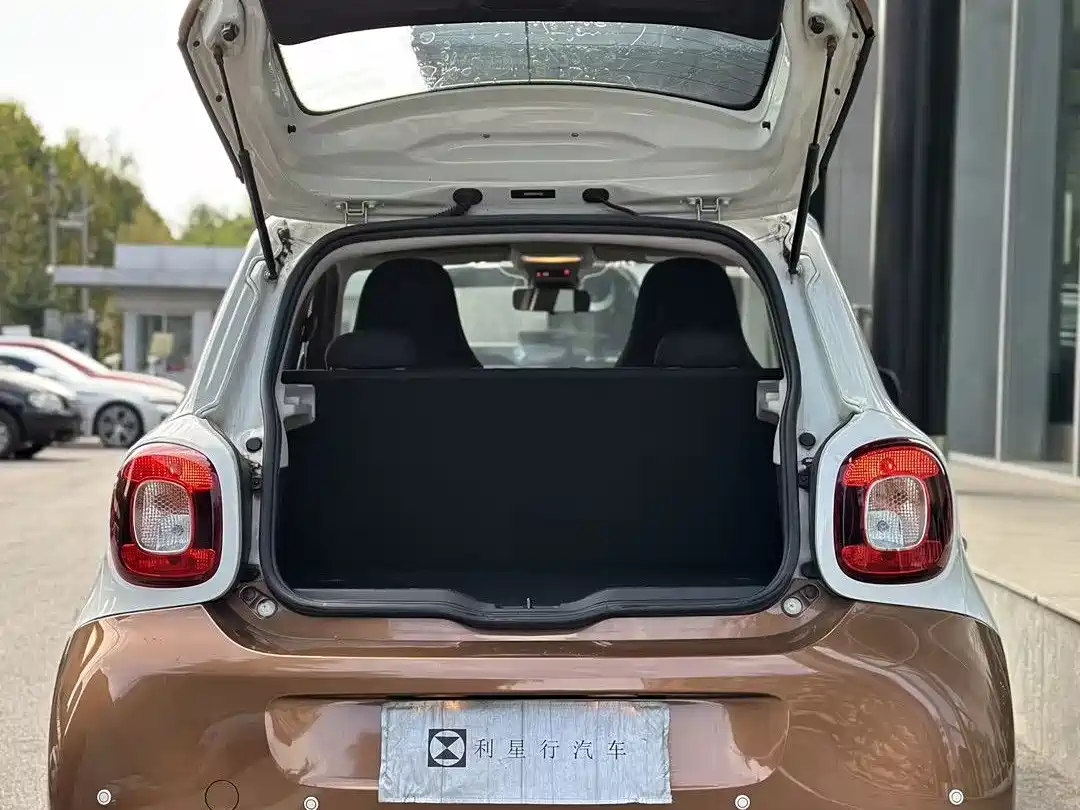 Фото 9 - smart forfour