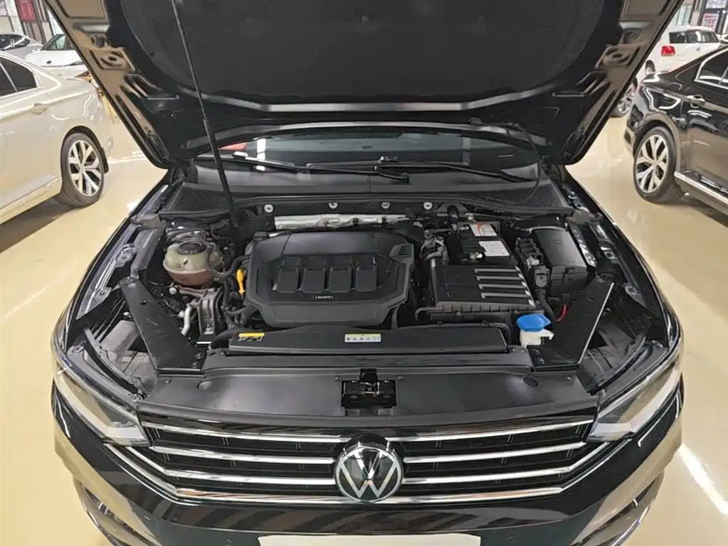 Volkswagen Magotan 2021 330TSI DSG 30th Anniversary Edition фото 20