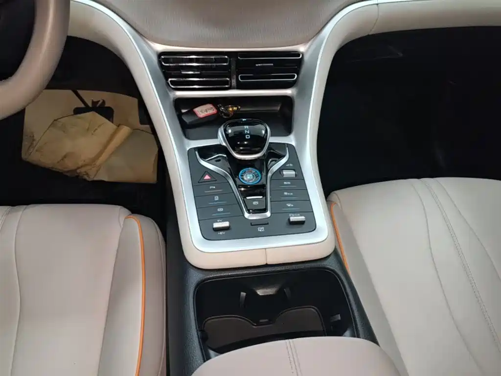 BYD Song Pro New Energy 2024 Glory Edition DM-i 71KM Pilot фото 14