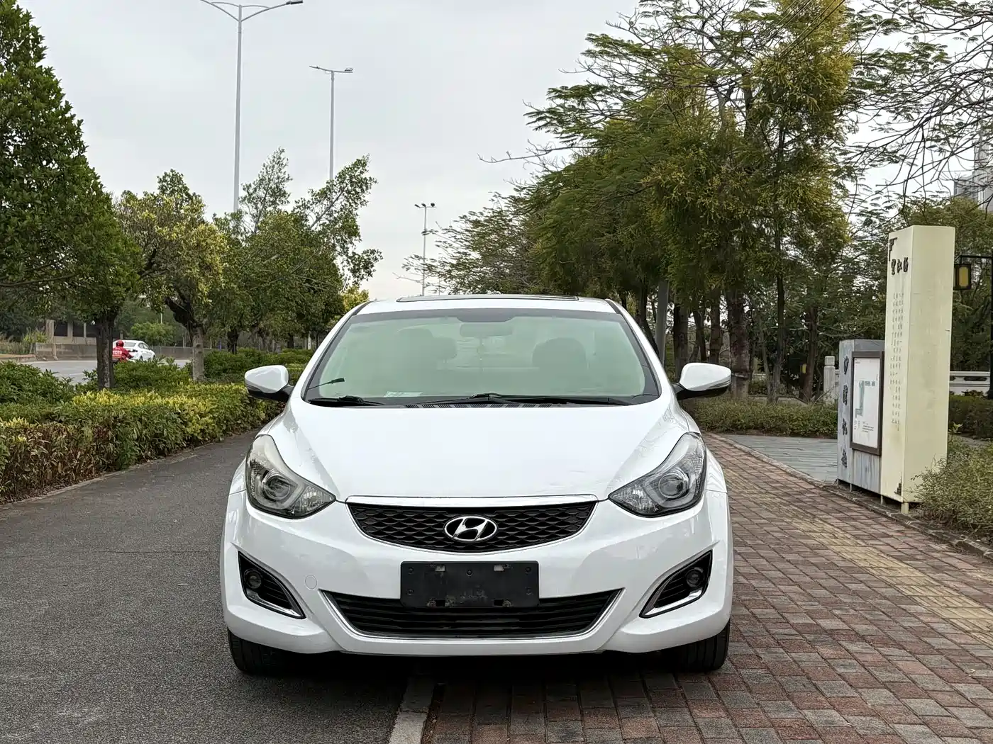 HYUNDAI LANGDONG