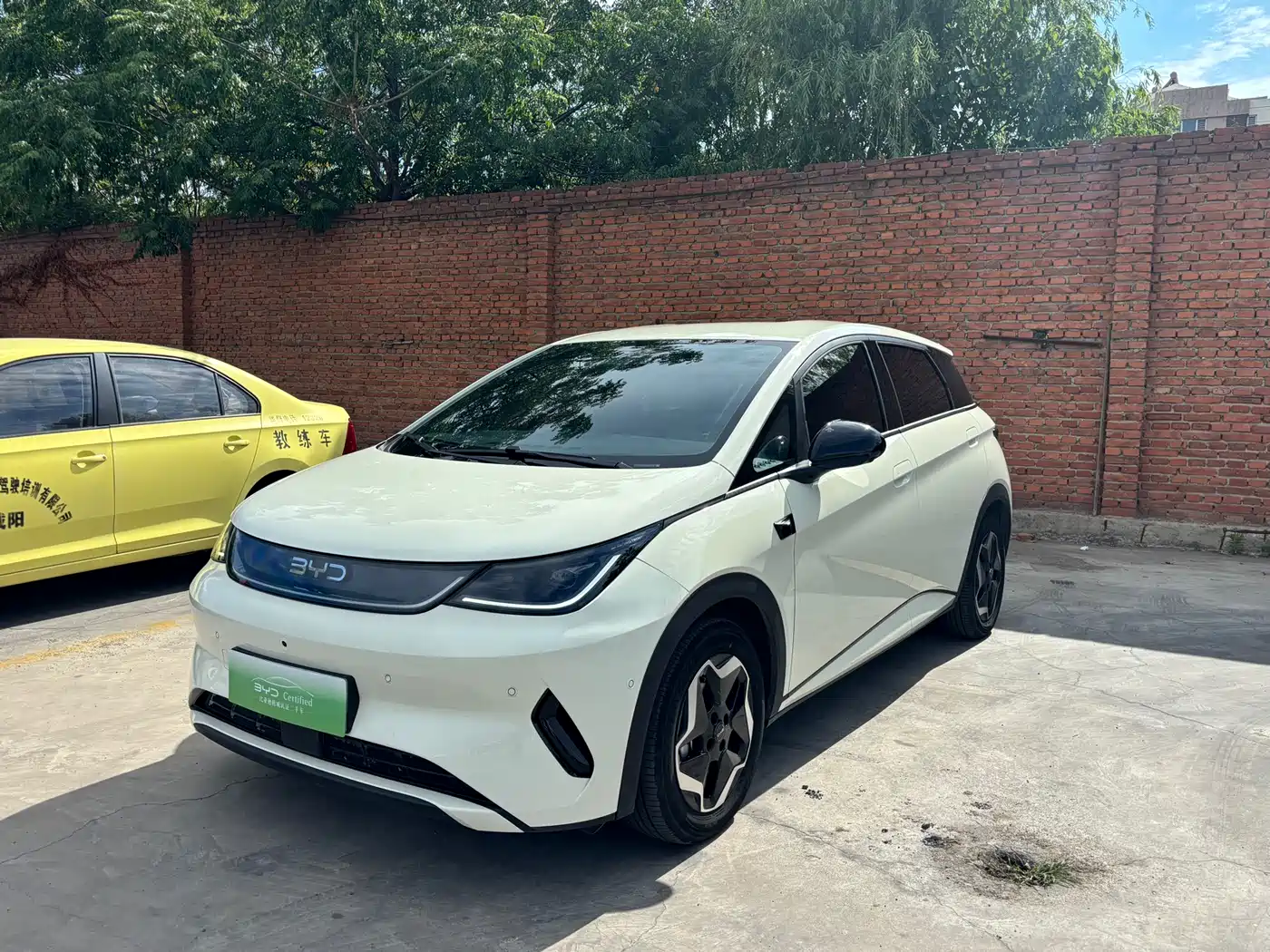  BYD Dolphin 2025 Smart Drive Edition 420km Freedom Version
