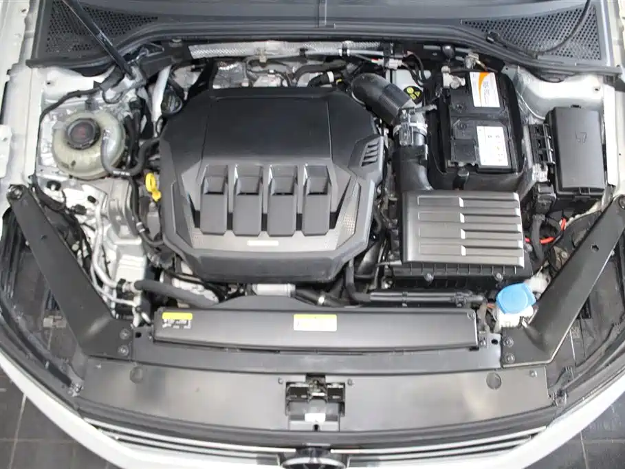 Volkswagen Magotan 2020 330TSI DSG Luxury фото 14