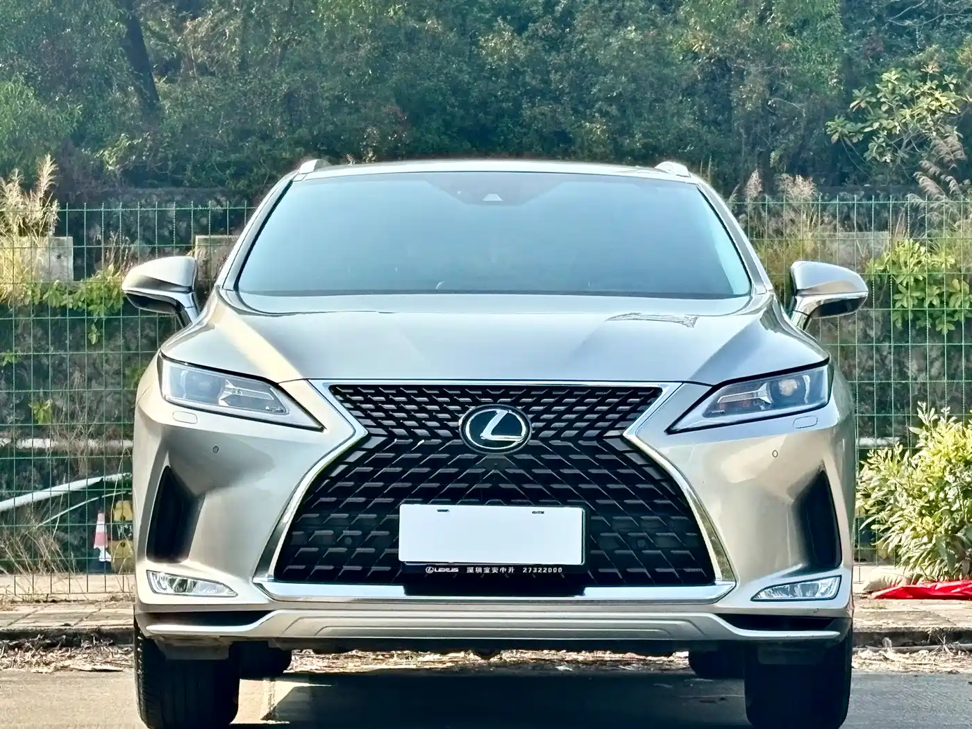 Lexus RX 2020 Facelift 300 2WD Comfort Edition фото 2