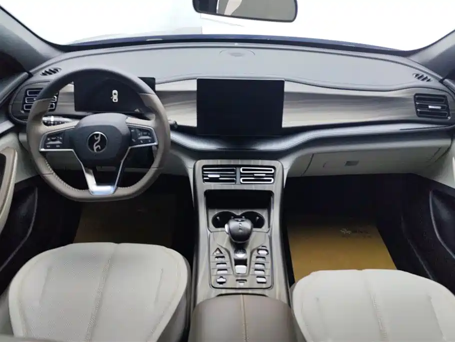 BYD Qin PLUS 2024 Glory Edition DM-i 55KM Leading фото 12