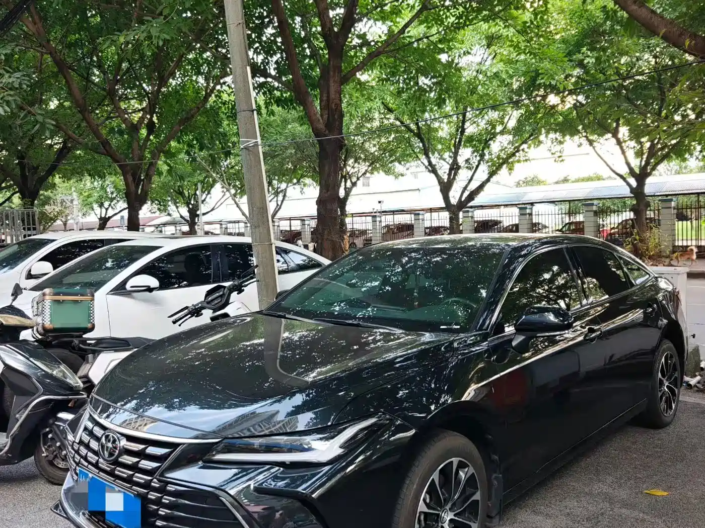 TOYOTA ASIAN DRAGON