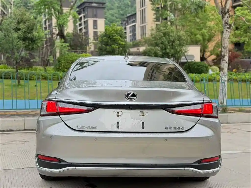 Lexus ES 2018 200 Luxury Edition China V фото 8