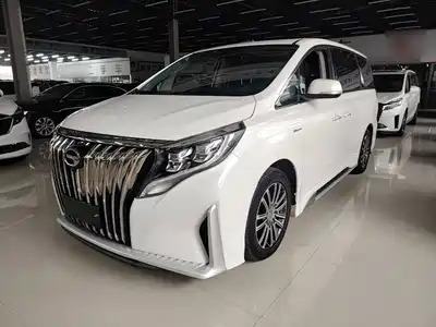 Trumpchi M8