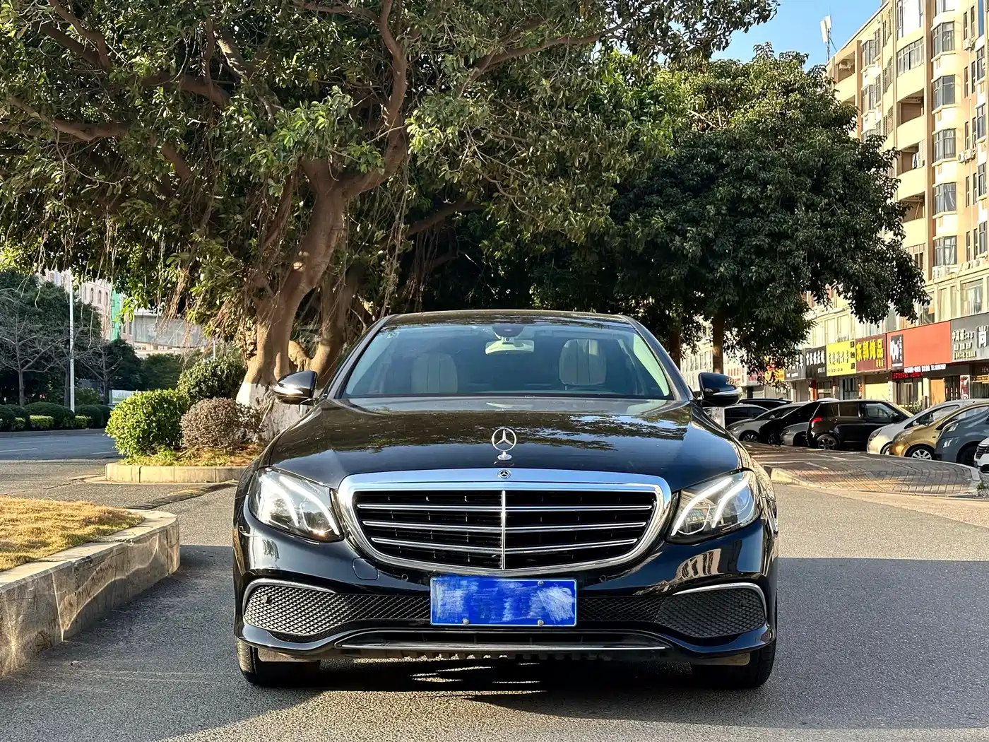 Mercedes-Benz E-Class 2018 E 200 L 4MATIC фото 2