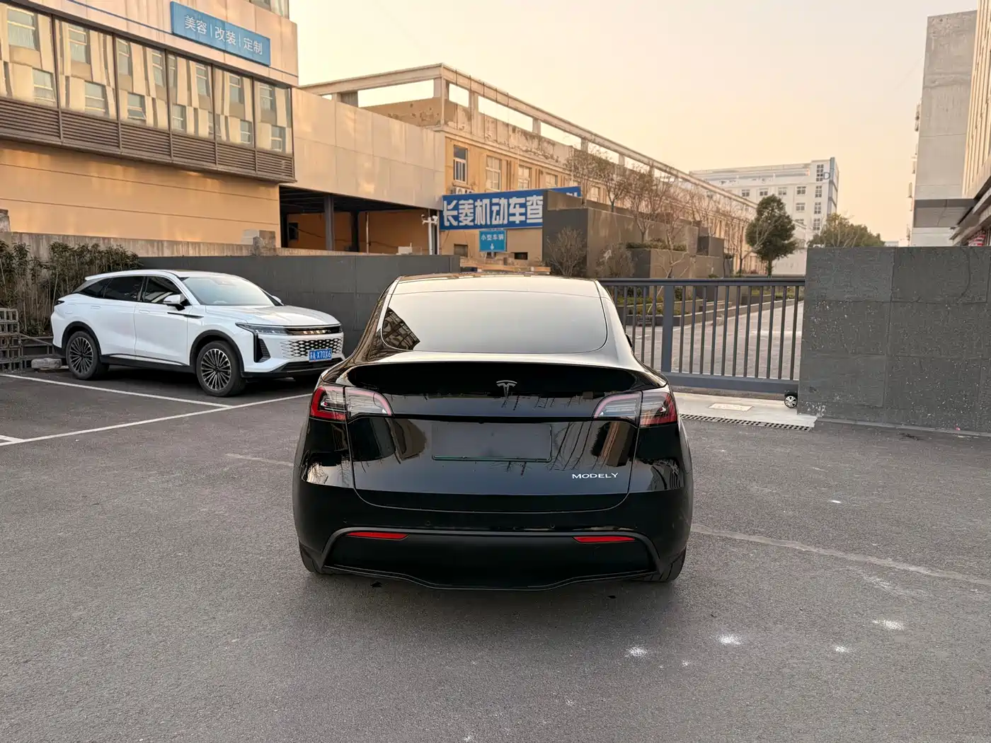 TESLA MODEL Y