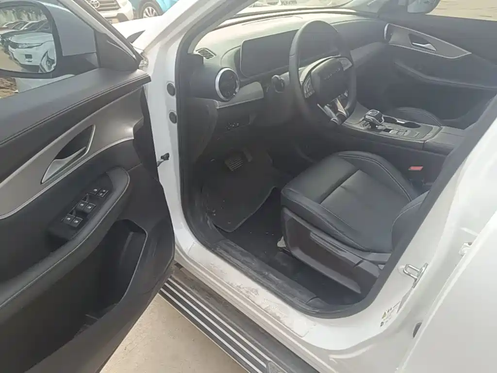 Dongfeng Fengxing Fengxing T5 EVO 2023 2024 1.5TD DCT Starry Sky Edition