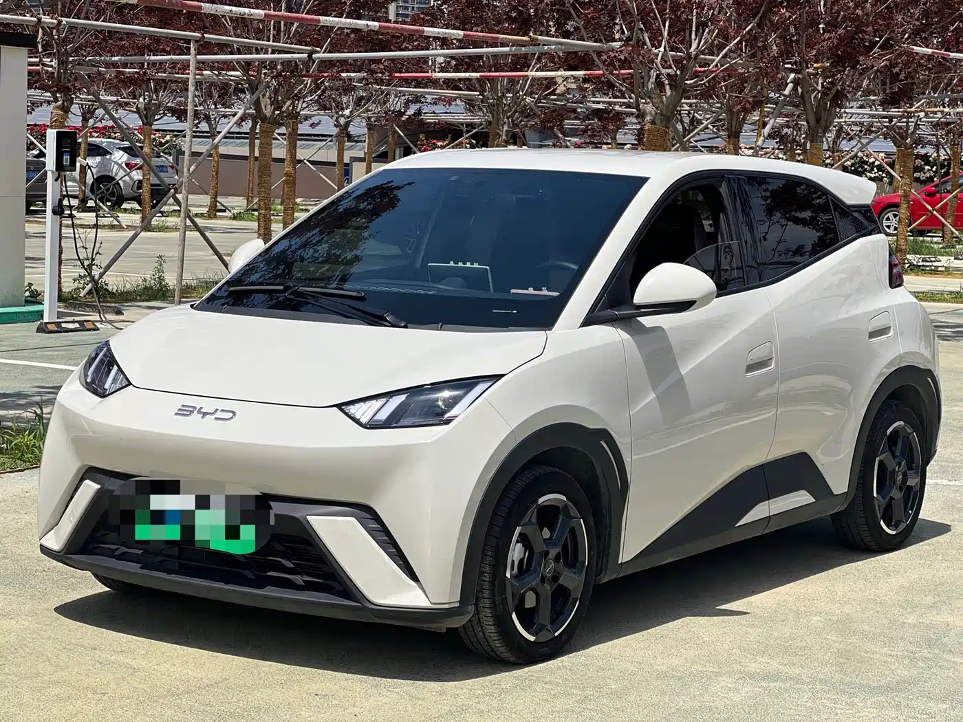 BYD Seagull 2024 Glory Edition 305km Freedom Edition