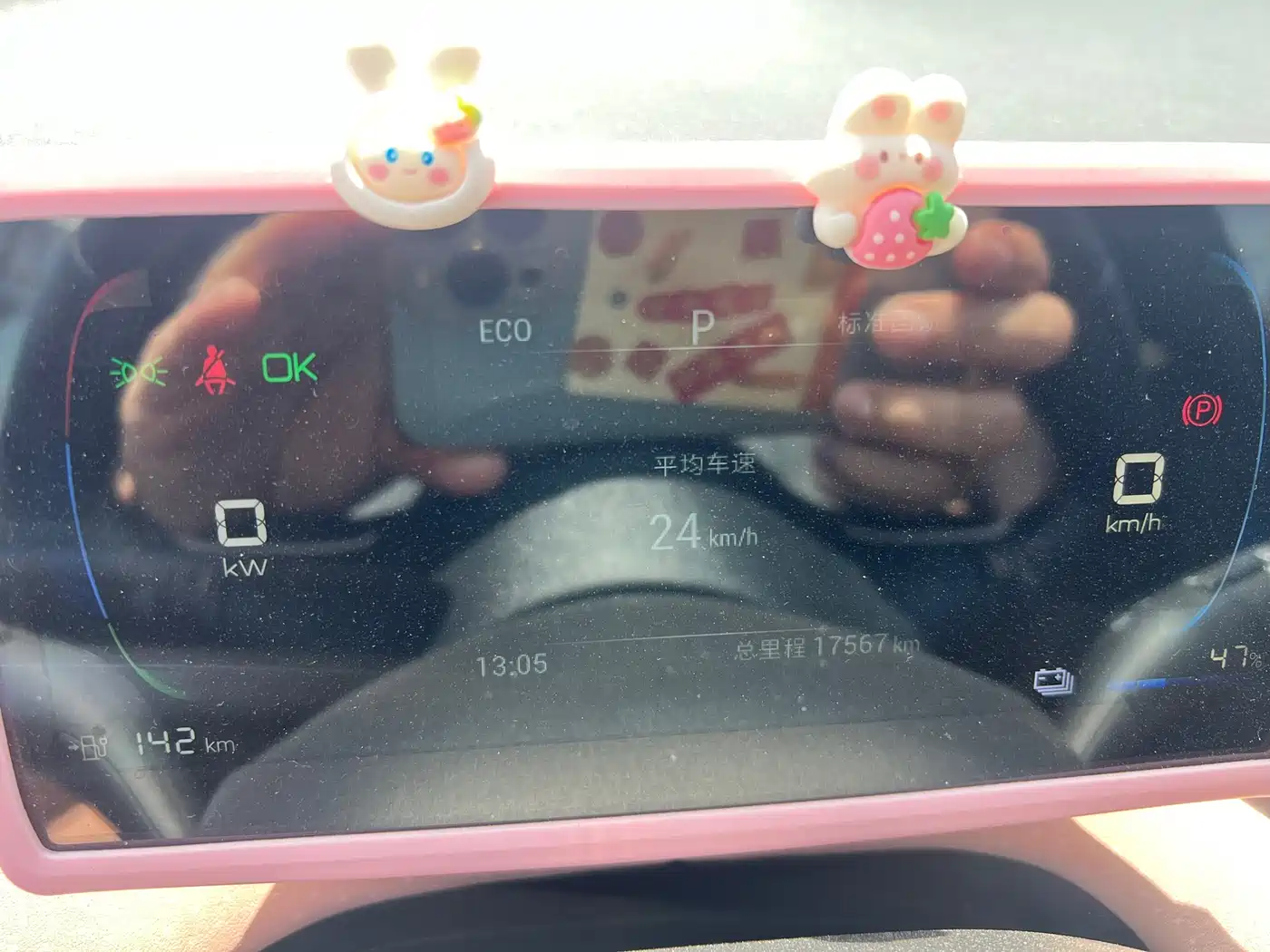 BYD Seagull 2024 Glory Edition 305km Freedom Edition фото 6