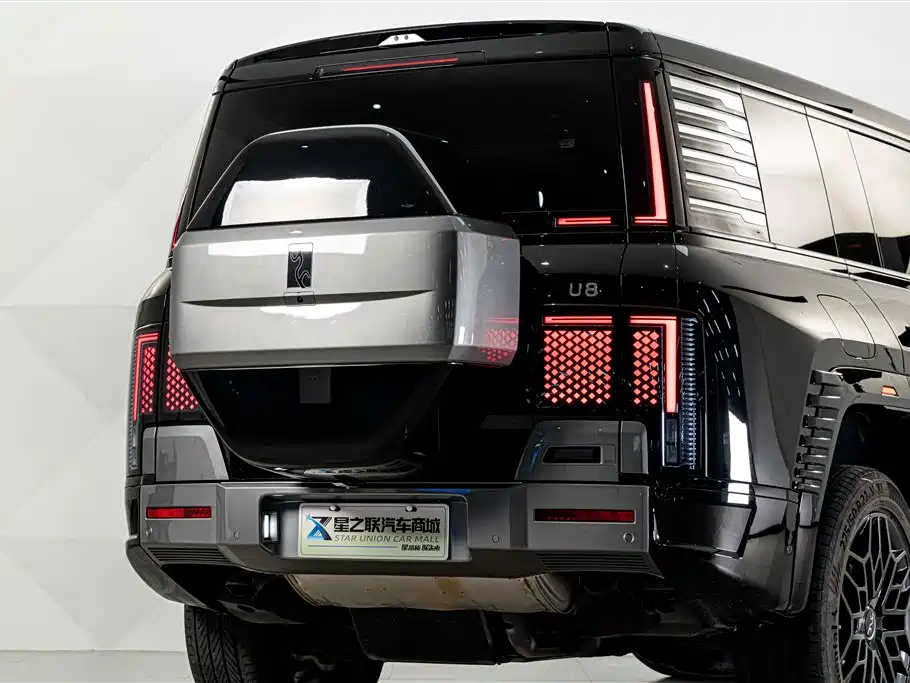 Yangwang U8 2024 2023 Luxury Edition