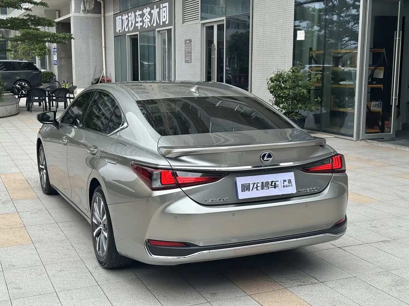 Lexus ES 2020 Model 300h Excellence Edition фото 21
