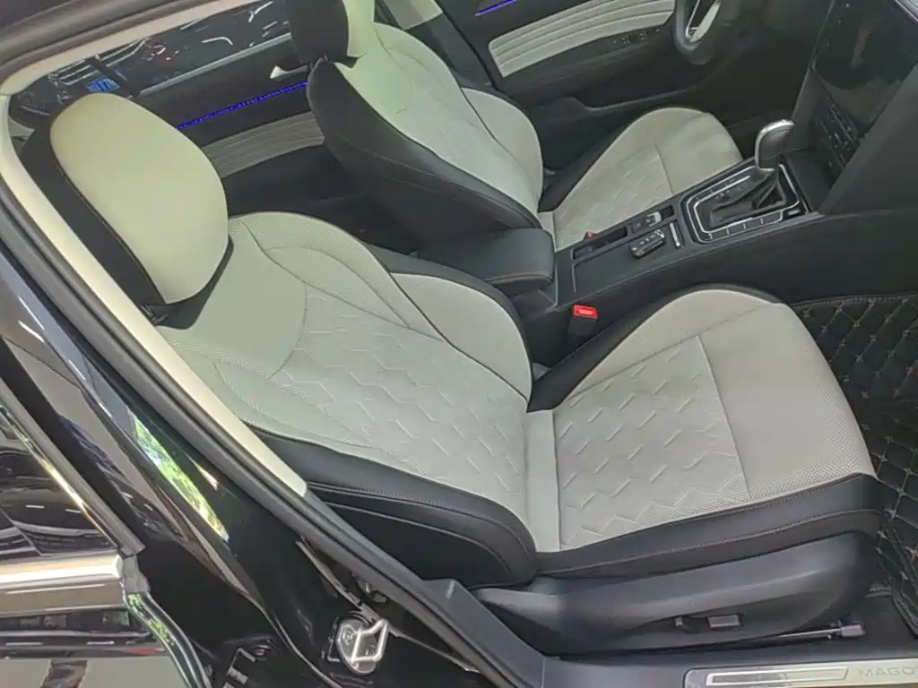 Volkswagen Magotan 2026 2026 Model 30 Million Special Selection 380TSI DSG Luxury