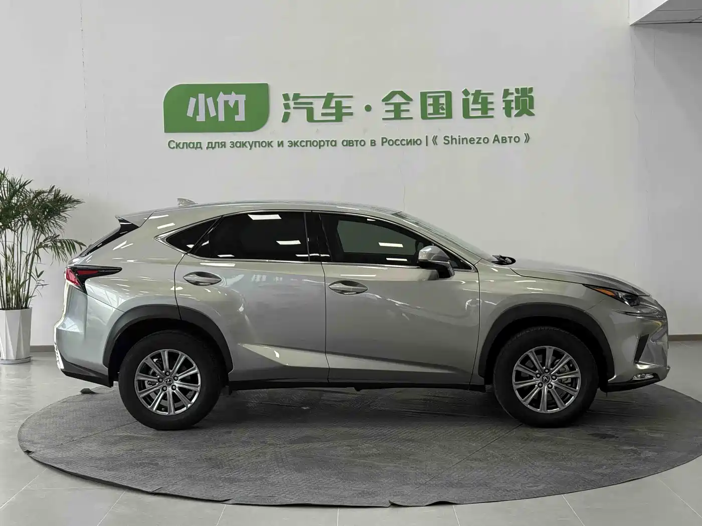 LEXUS NX