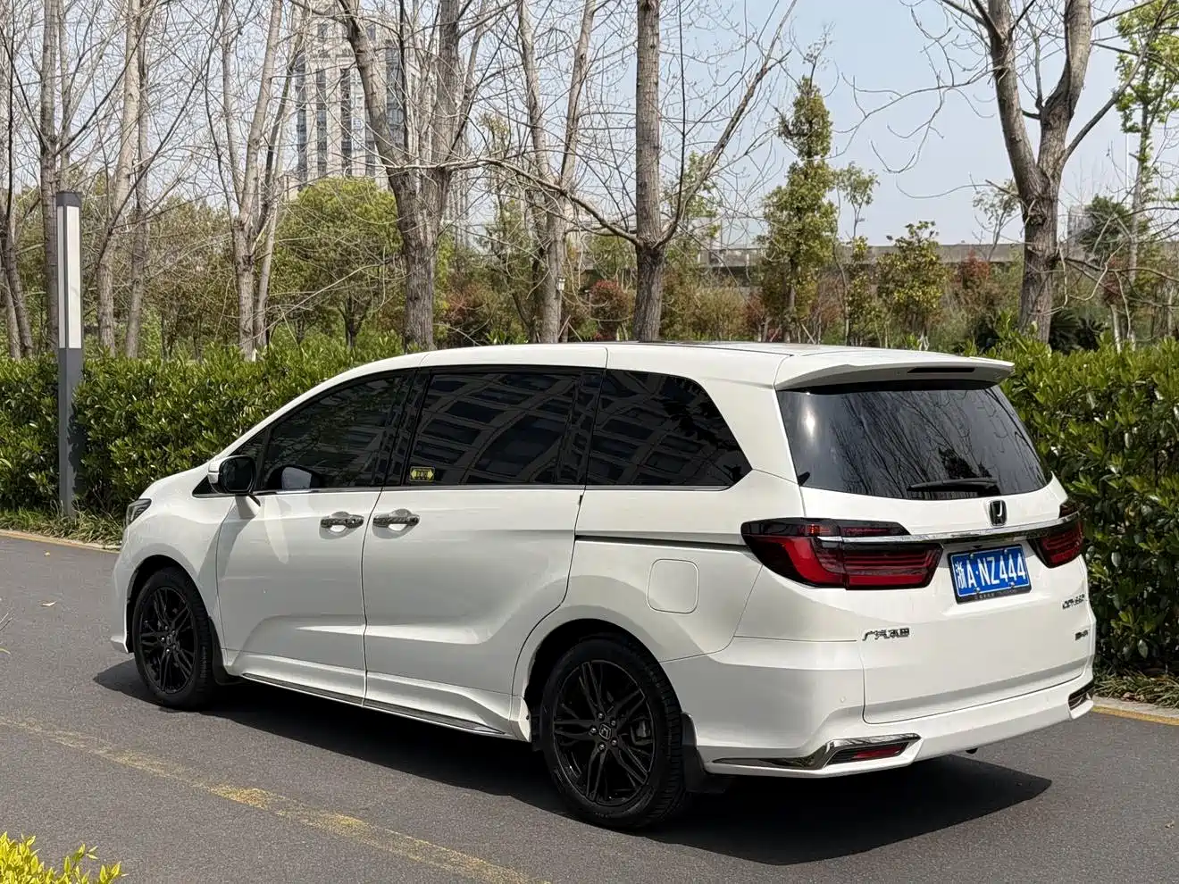 HONDA ODYSSEY