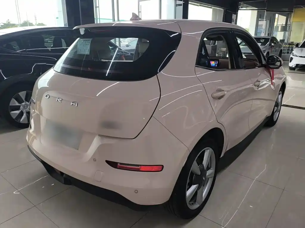 Ora Good Cat 2022 2022 400km Standard Range Luxury NMC