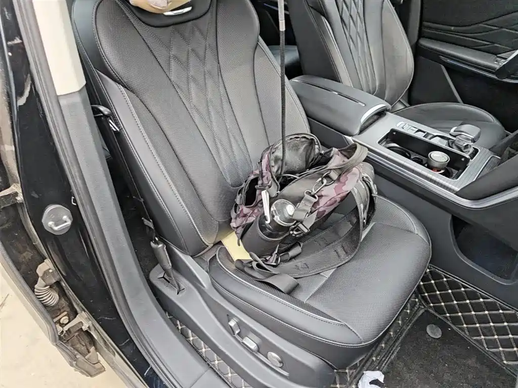 Hongqi HS7 PHEV 2024 2024 2.0T PHEV AWD Qichang Edition 7-seater