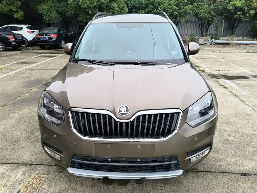 Škoda Yeti 2017 TSI280 DSG Advance фото 3