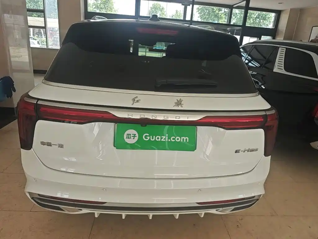 Hongqi E-HS9 2023 2022 690km Qi Xiang Edition (6-seater)