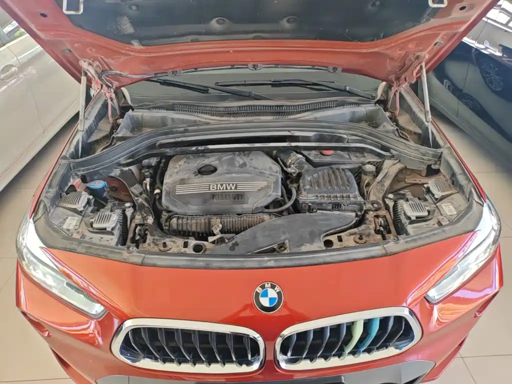 BMW X2 (Import) 2019 2019 sDrive25i Leading M Off-Road Package China VI