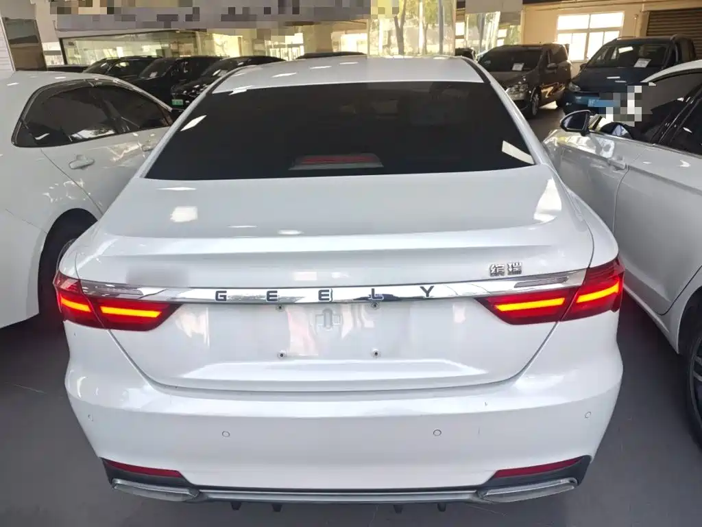 Фото 4 - Geely Binrui