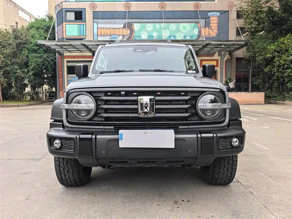 Tank 300 2023 Off-Road Edition 2.0T Conqueror фото 2