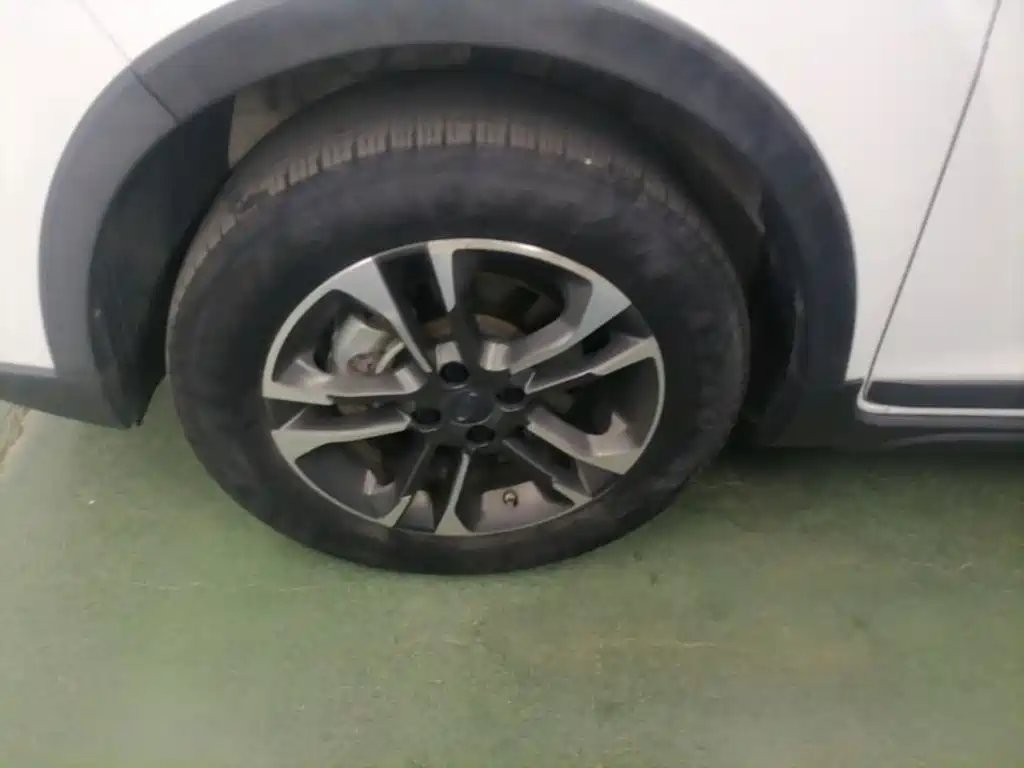 Geely Geometry EX3 Kung Fu Bull 2022 2021 Strong Bull