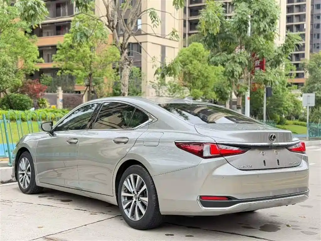 Lexus ES 2018 200 Luxury Edition China V фото 9