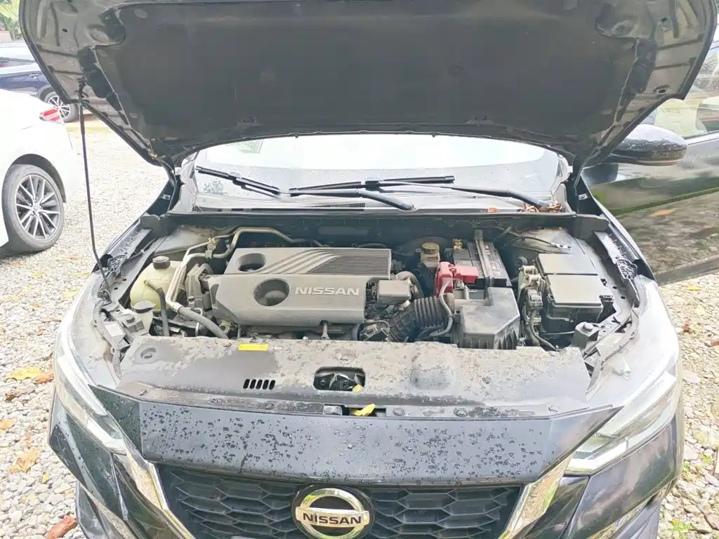 Фото 21 - Nissan Sylphy