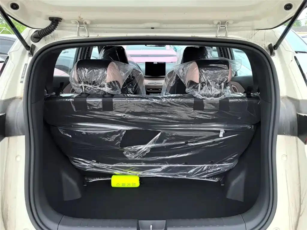 BYD Seagull 2025 Smart Drive Edition 305km Vitality Version фото 19