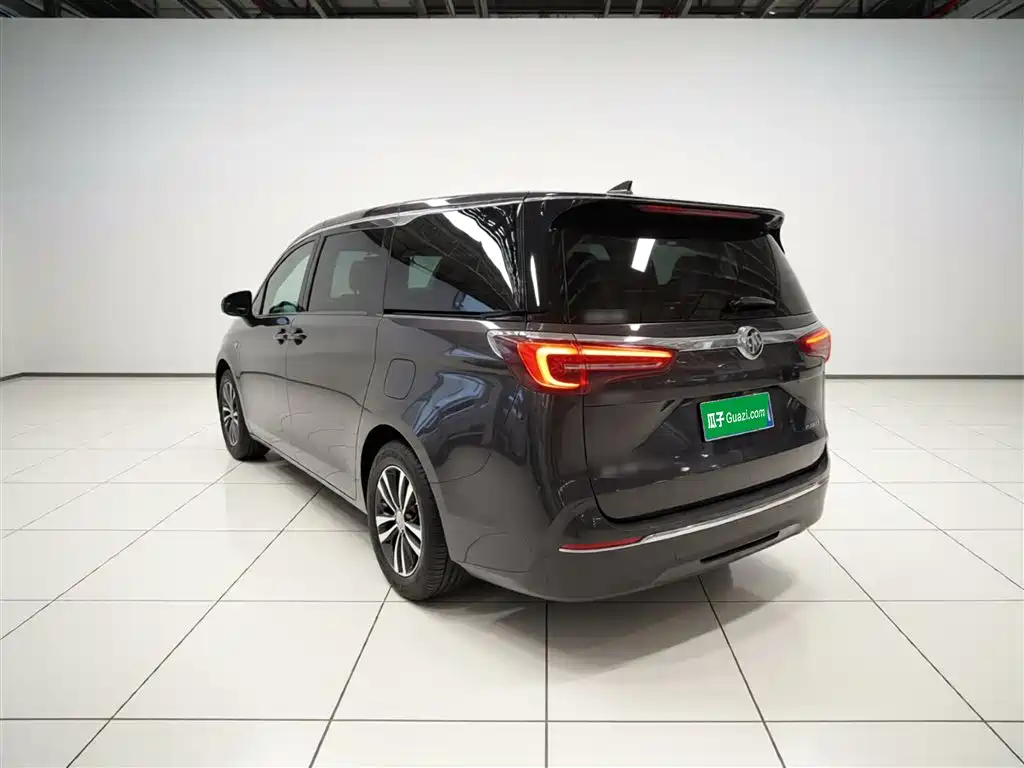 Buick GL8 2021 ES Landlord 653T Premium фото 5