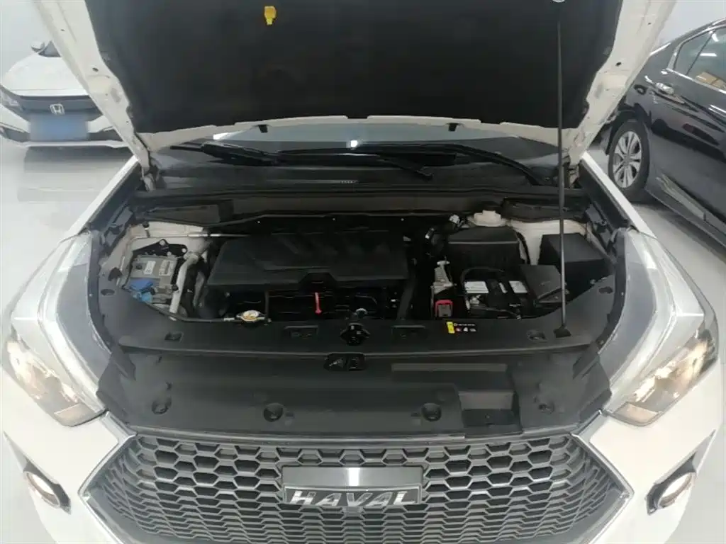 Haval H6 Coupe 2019 1.5T Auto 2WD Elite Version China V фото 20