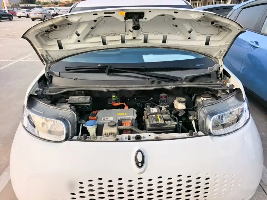 Ora White Cat 2022 2022 Upgraded Version 305km Comfort Type NCM