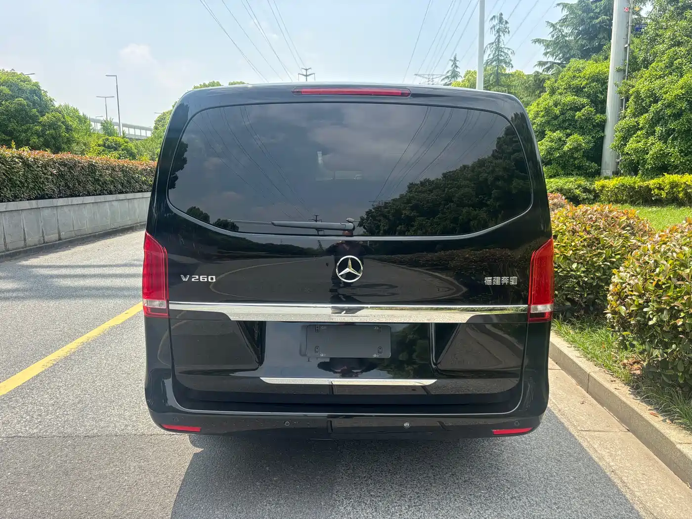 Mercedes-Benz V-Class 2018 V 260 Pilot Edition China V фото 4