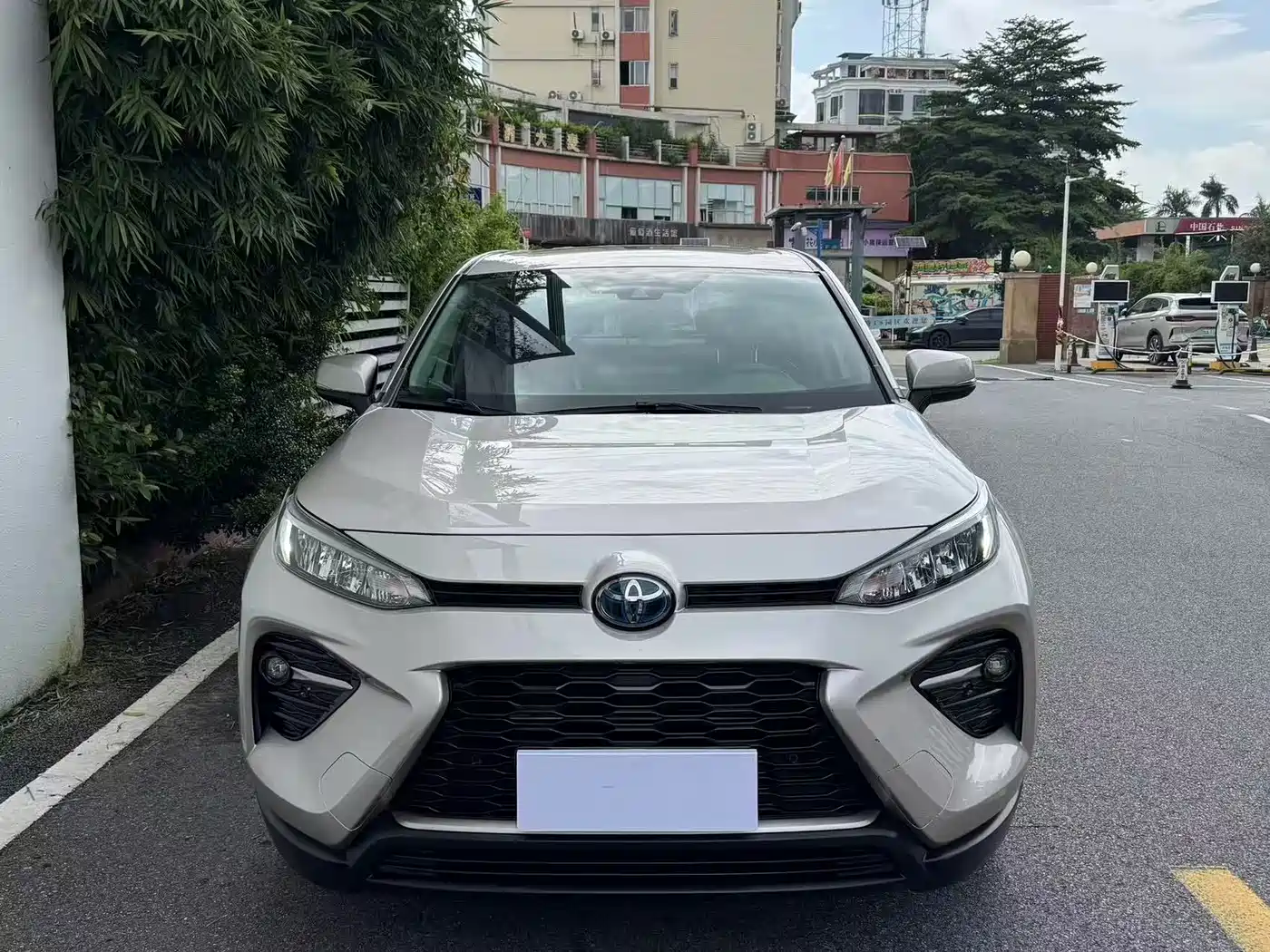 Toyota Wildlander 2021 2020 Dual Engine 2.5L E-CVT FWD Luxury