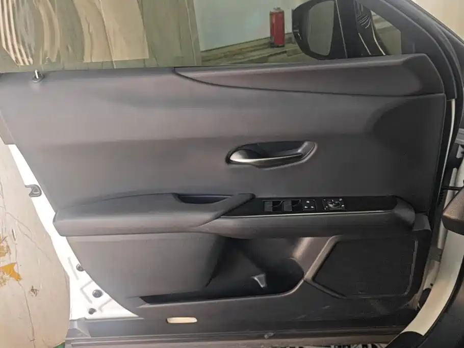 Lexus UX Electric 2022 2020 300e Pure Yue Edition